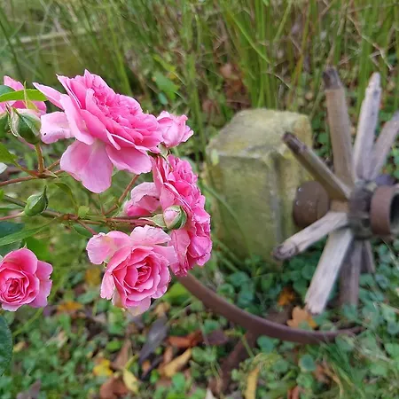 Alte Schmiede Zabeltitz