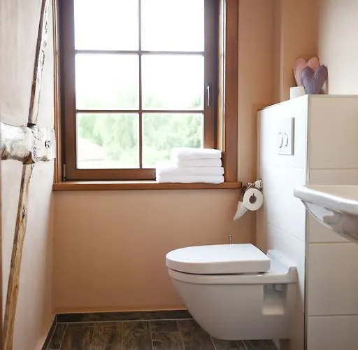 Pensjonat Alte Schmiede 3*