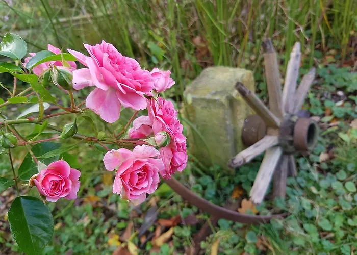 Alte Schmiede Zabeltitz